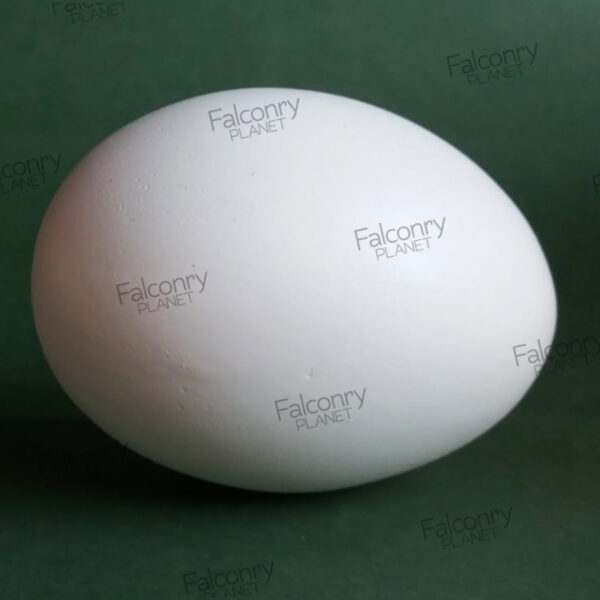 Réplicas de Huevos de Buitre Leonado (3 UNIDADES) - Ahora tu tienda Online. Compra de forma cómodo y segura
