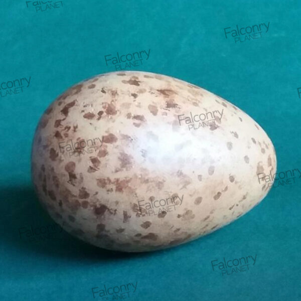 Réplicas Huevos de Pigardo Europeo (3 UNIDADES) - Ahora tu tienda Online. Compra de forma cómodo y segura
