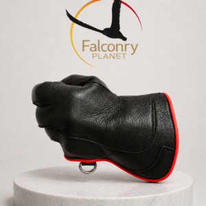 Guantes