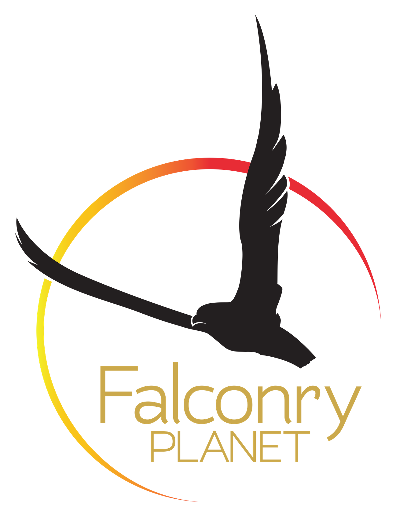 Falconry Planet. Tienda especializada en material de cetrería - Ahora tu tienda Online. Compra de forma cómodo y segura
